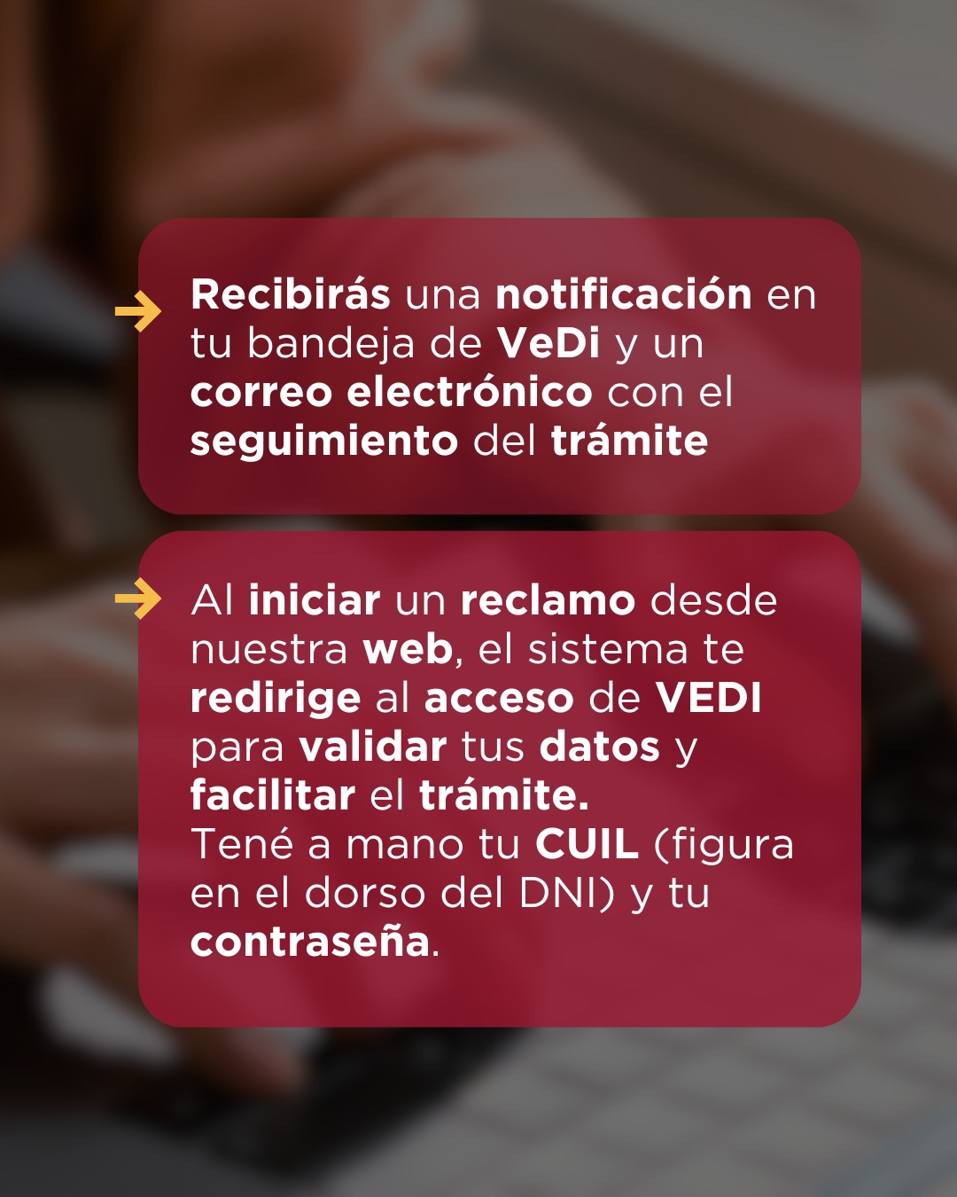 WhatsApp Image 2026-01-27 at 18.17.42